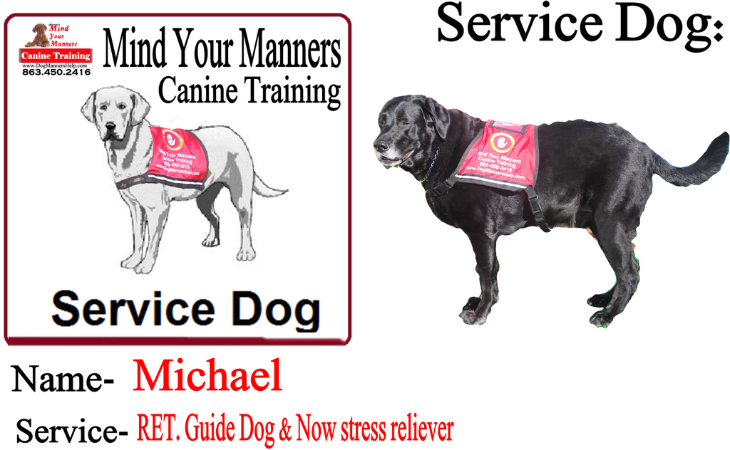 Mind Your Manners Canine Training & Boarding Lakeland FL 33810 863